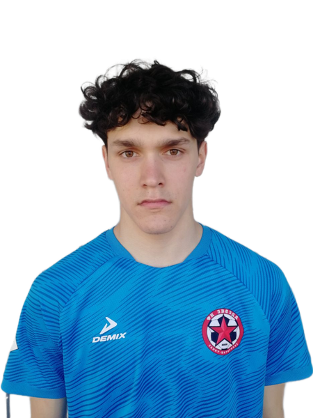 Золотарев
